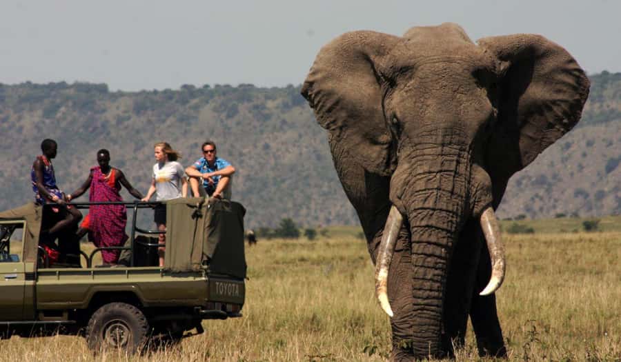 1/2 Day Hluhluwe Imfolozi Big 5 Tour from Richards Bay - Why Hluhluwe Imfolozi is the kind of Big 5 safari you can still catch on a schedule