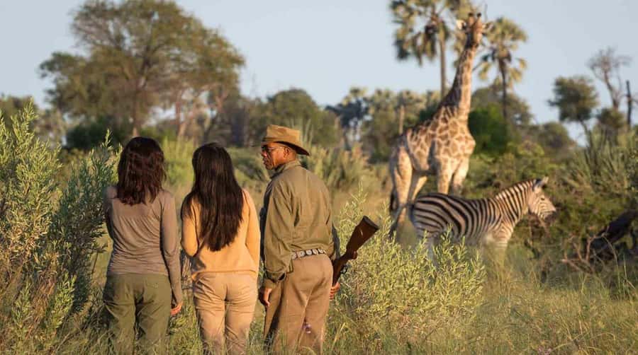 1/2 Day Hluhluwe Imfolozi Big 5 Tour from Richards Bay - Who this tour fits best, and who should look elsewhere
