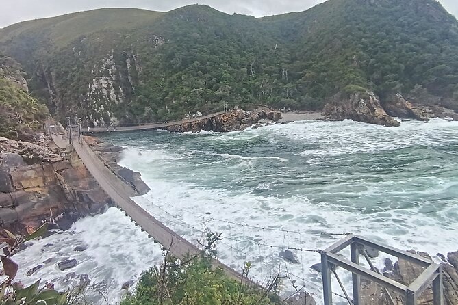 1 Day Garden Route Tour: From Port Elizabeth to the Crags - What’s included, and what you need to plan for