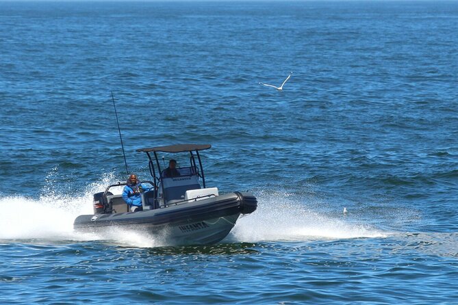 1 Day Whale Watching at Yzerfontein - Why December to March makes humpback sightings more likely here