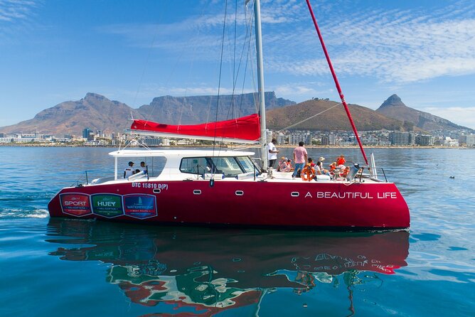 1- Hour Catamaran Cruise Cape Town - Key Things to Know Before You Go