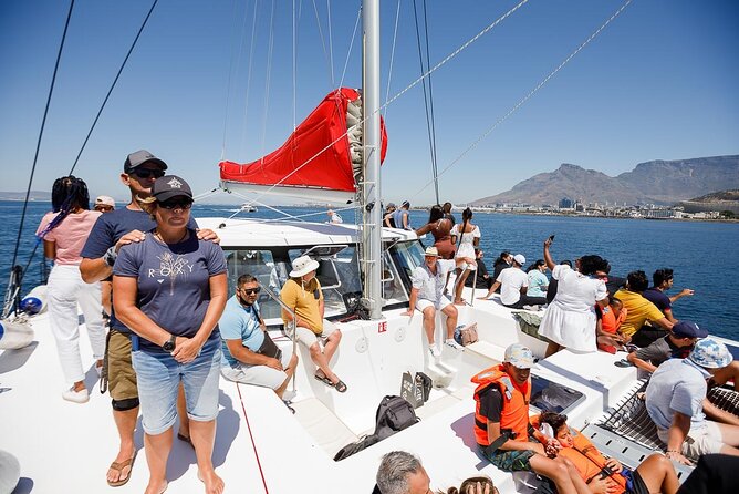 1- Hour Catamaran Cruise Cape Town - A Short Cruise That Lets Cape Town Hit First