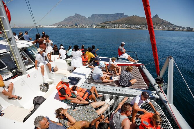 1- Hour Catamaran Cruise Cape Town - The Route in Real Time: How the Coastside View Changes