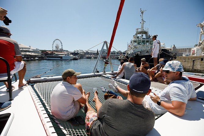 1- Hour Catamaran Cruise Cape Town - Marine Life, Other Boats, and the Fun Part of Looking Up