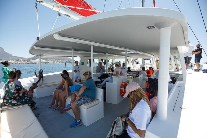 1- Hour Catamaran Cruise Cape Town - The Onboard Vibe, Music, and the Cash Bar Reality