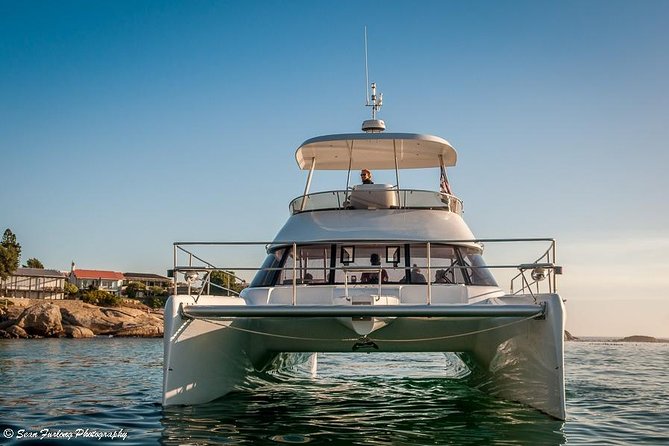 1 Hour Coastal Catamaran Cruise from Cape Town - Price and value: is $21.28 worth it for one hour?