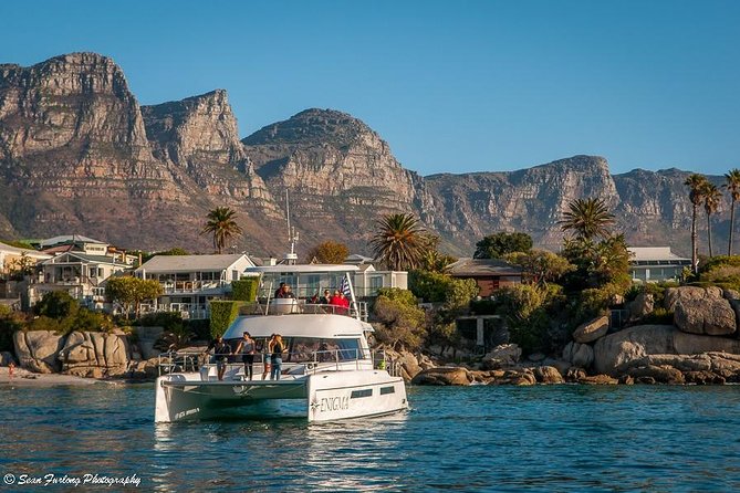 1 Hour Coastal Catamaran Cruise from Cape Town - Meeting point experience: what matters at Waterfront Charters