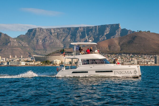 1 Hour Coastal Catamaran Cruise from Cape Town - The route: from V&A Waterfront to Green Point lighthouse and back