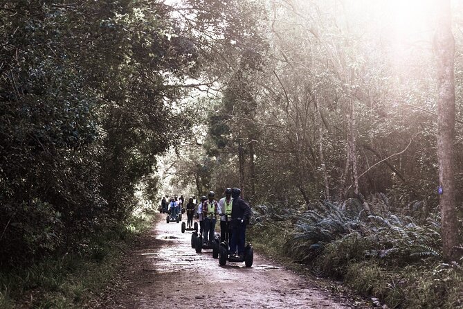 1 Hour Segway Experience - What the guide experience feels like for beginners