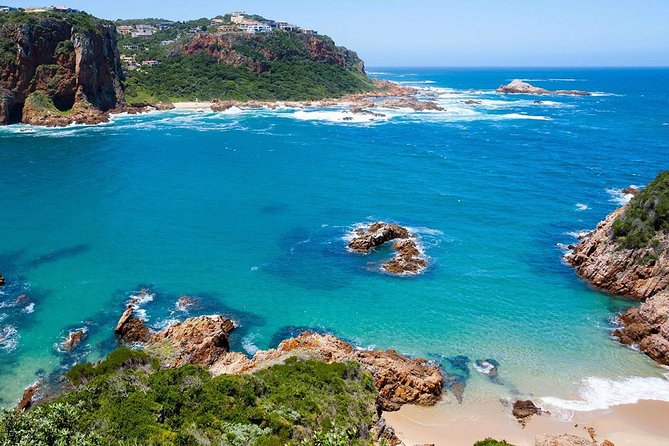 10 Day Cape & Garden Route Tour Combo with add-on accommodation - Day 7: Addo Elephant National Park Safari Morning