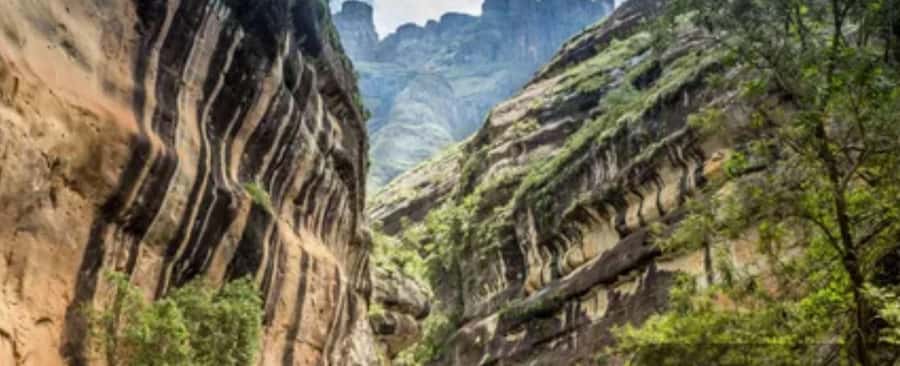 10 Day South Africa Tour Joburg to Cape Town - Durban and Drakensberg: city context, then mountain hikes