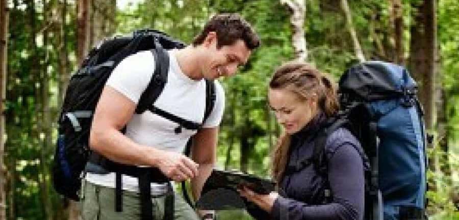 10 Day South Africa Tour Joburg to Cape Town - The Garden Route, Addo, and Robberg: wildlife plus walking days