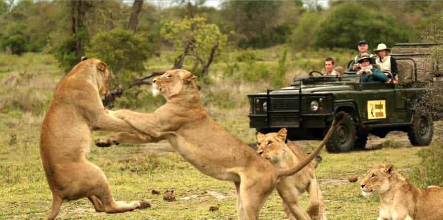 10 Day South Africa Tour Joburg to Cape Town - Price and logistics: what $2,687 covers, and what you should budget extra for