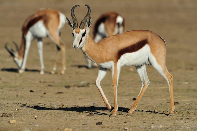 13 Day Safari - Cape Town to Johannesburg - Drakensberg Mountains hiking: the altitude break between coasts and safari