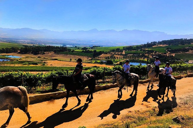 1h - Horse Trail - Key things to know before you ride