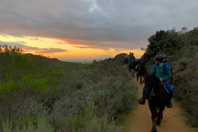 1h - Horse Trail - Horses, Saddles, and the Weight Rules You Must Know
