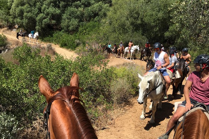 1h - Horse Trail - Safety Briefing and Medical Restrictions (Read This Part Carefully)