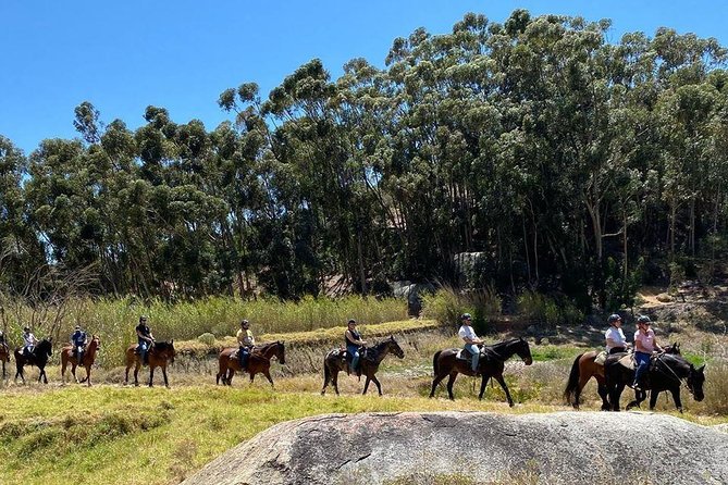 1h - Horse Trail - Weather and Timing: The Ride Depends on Favorable Conditions