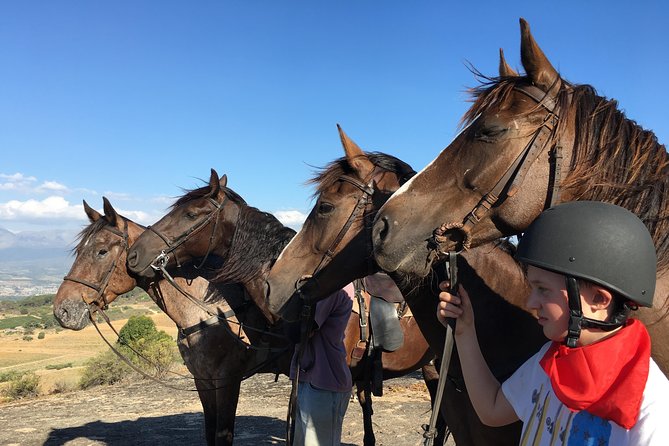 1h - Horse Trail - Price and Value: Is $60.70 for an Hour on Horseback Reasonable?