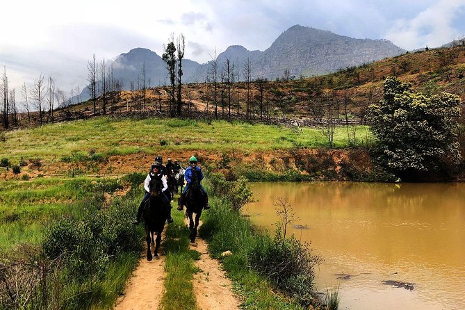 1h β Horse Trail - How the 1-Hour Ride Feels, From Tractor Tracks to Mountain Climbs