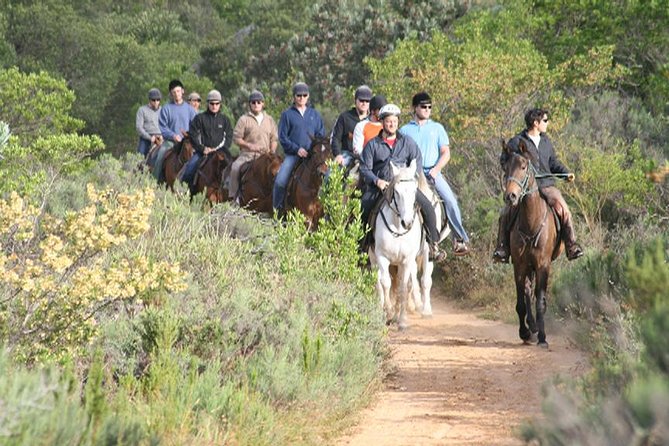1h30m - Horse Trail - Key things to know before you ride