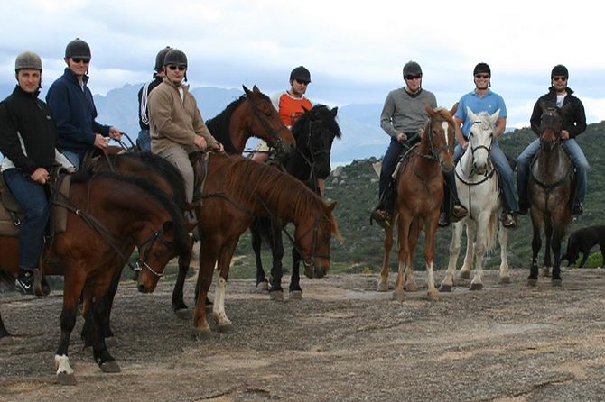 1h30m - Horse Trail - Terrain variety: mountain paths and tractor routes