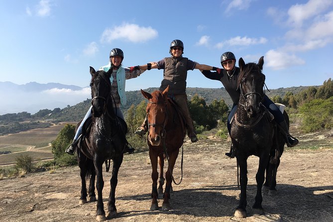 1h30m - Horse Trail - Guides and horse care, the part that makes or breaks it