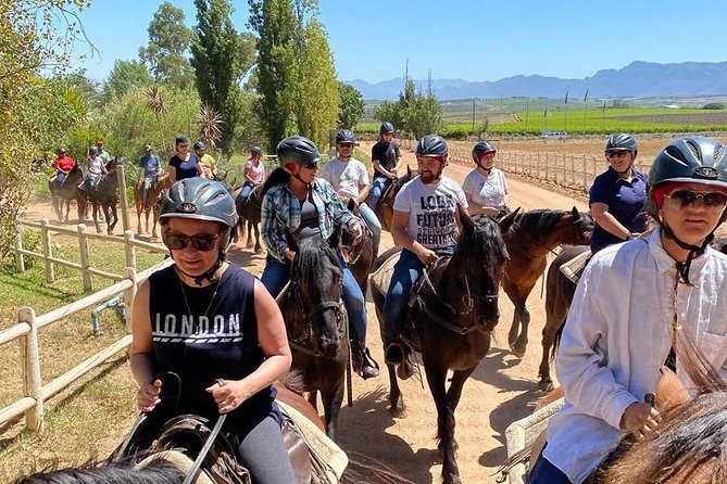 1h30m - Horse Trail - Value and pricing: what $112.74 buys you