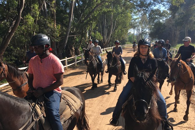 1h30m - Horse Trail - Meeting point, timing, and how to set yourself up for an easy start