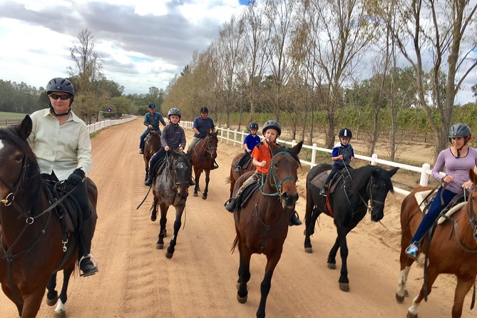 1h30m β Horse Trail - What β1h30 Horse Trailβ feels like in real life