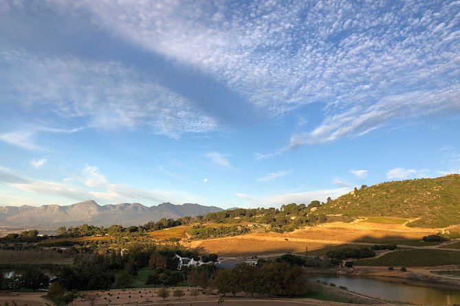 1h30m - Nature Quad Trail - Quad Biking in Stellenbosch Wine Country, Even If Youre New to ATVs