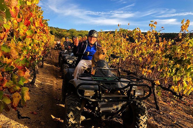 1h30m - Nature Quad Trail - Riding the Nature Quad Trail: Vineyards, Jonkershoek and Simonsberg Surroundings, and Uneven Terrain
