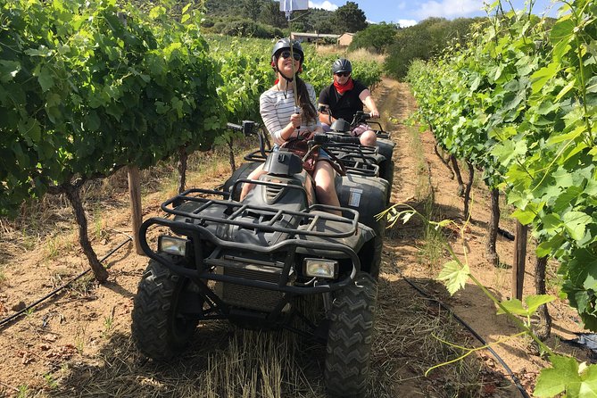 1h30m - Nature Quad Trail - Wine Valley Adventures Stop at the Rhebok Restaurant Lunch, and Wine Tasting Options