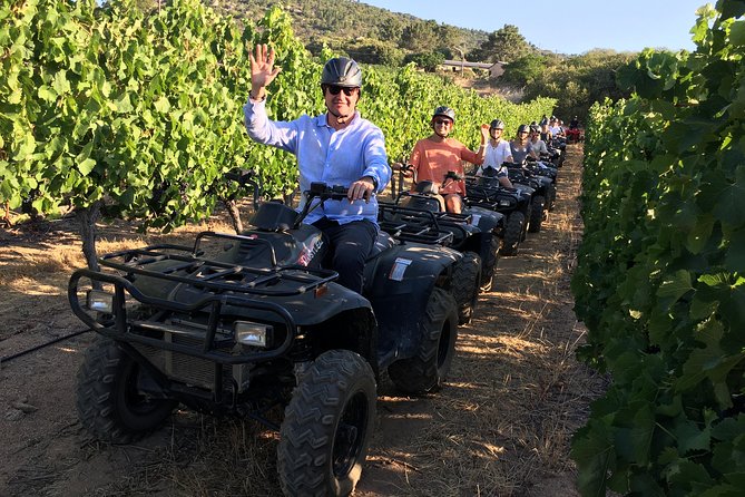 1h30m - Nature Quad Trail - Should You Book Nature Quad Trail with Wine Valley Adventures?
