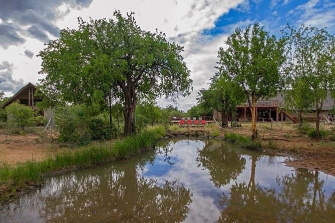 2 Day 4 Star Pilanesberg Safari - Day 1: morning comfort, afternoon 4x4, and a lodge break that actually helps