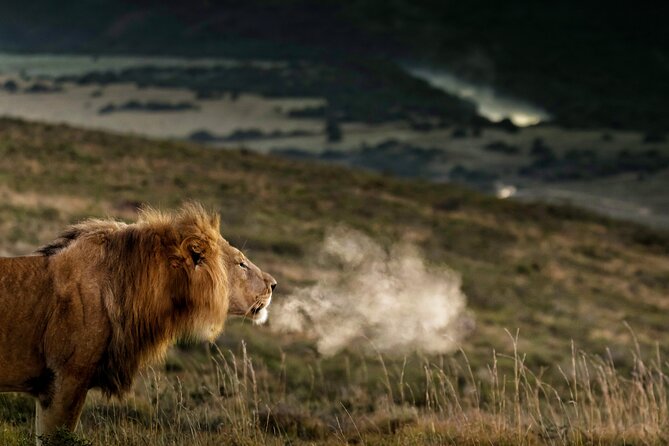 2 Day Addo Elephant Park Safari - Key highlights you will feel right away