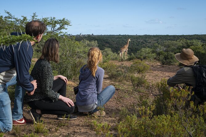 2 Day Addo Elephant Park Safari - Giraffe tracking on foot in Greater Addo: the smart way to slow down