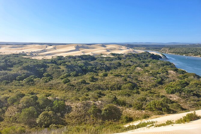 2 Day Addo Elephant Park Safari - What’s included, and why the price can make sense here