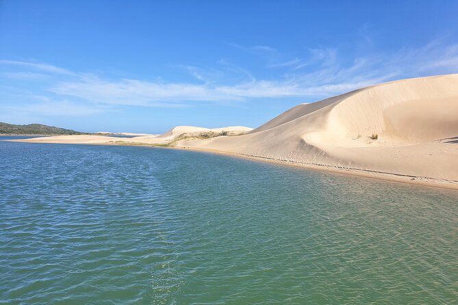 2 Day Addo Elephant Park Safari - The practical rhythm: timing, start time, and how to prepare