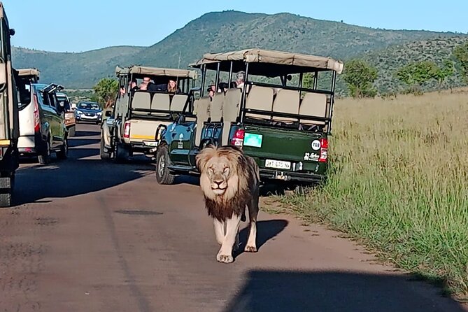 2 Day Pilanesberg ultimate Luxury Safari - Big Five Chances and Ranger-Driven Game Viewing