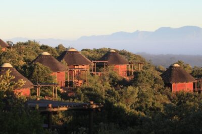 2 Day Safari Experience from Cape Town