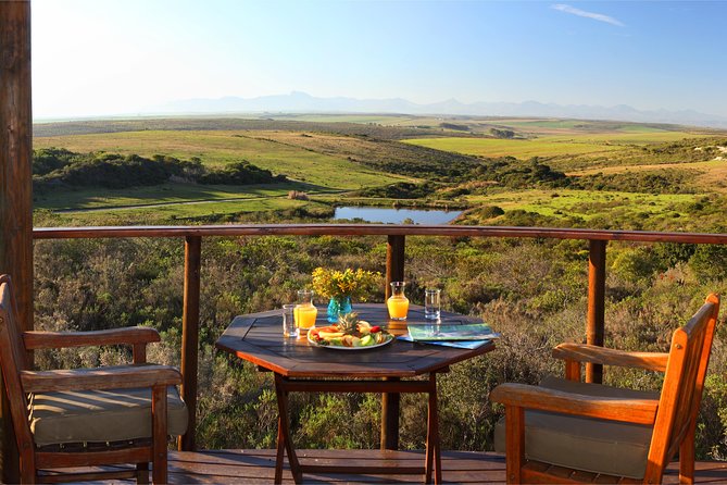 2 Day Safari Experience from Cape Town - Price and value: what $447.45 actually covers (and what it does not)
