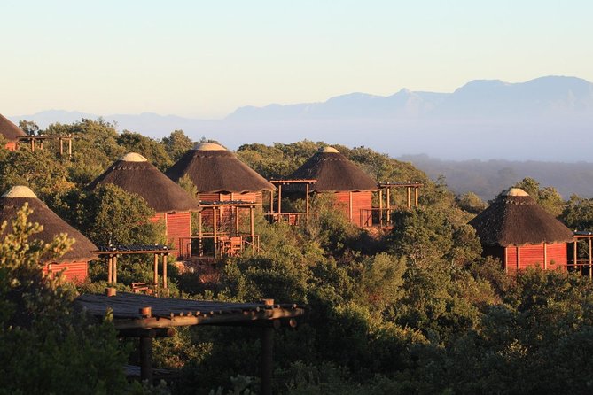 2 Day Safari Experience from Cape Town - Sunset Big Five safari at the Garden Route Game Lodge