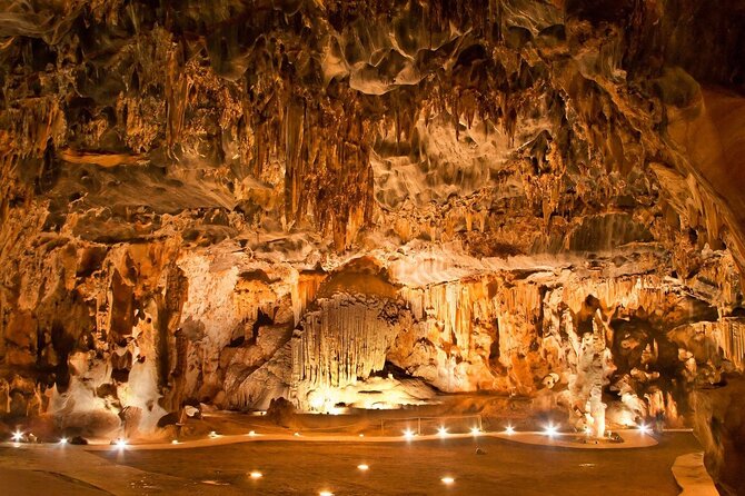 2 Day Small Group Garden Route Big 5 Safari Tour from Cape Town - Price and value at $1,436.80 per person