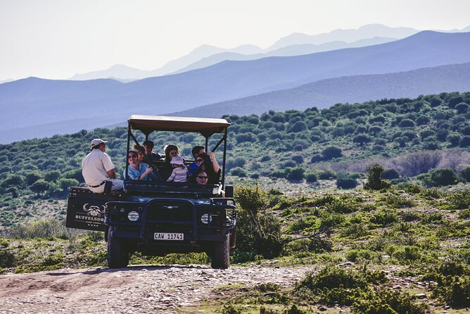 2 Day Small Group Garden Route Big 5 Safari Tour from Cape Town - Buffelsdrift elephant encounter and the open-4x4 bush safari drive