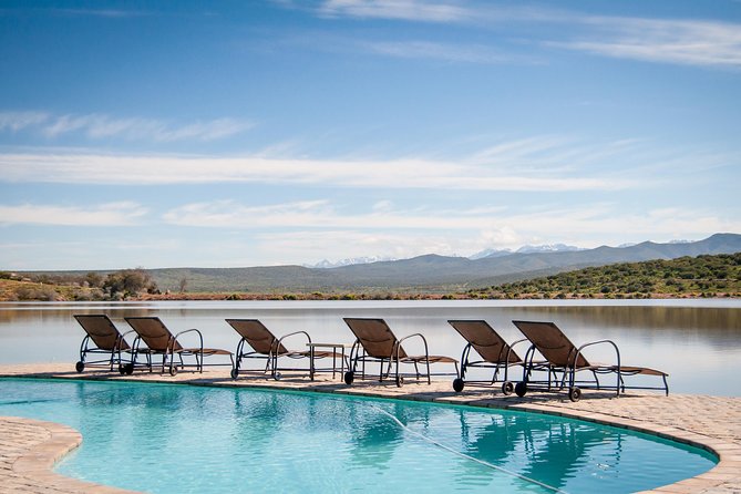 2 Day Wild Heart Western Cape Safari Tour with Private Transfers - Botlierskop Private Game Reserve safari: what you’re paying for