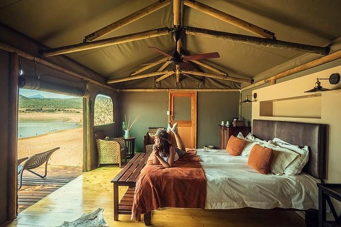 2 Day Wild Heart Western Cape Safari Tour with Private Transfers - Day 2: Buffelsdrift 4x4 bush safari and the optional elephant activity