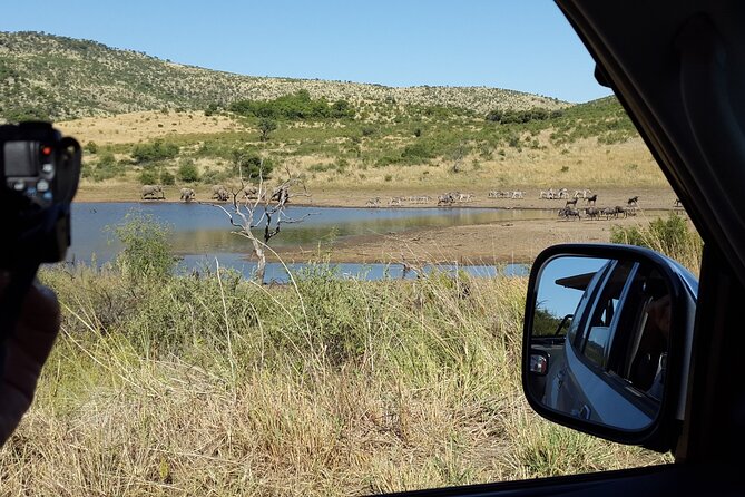 2-Days Pilanesberg best chance to view "Big 5" with private extended safari - Price and value: what you are paying for