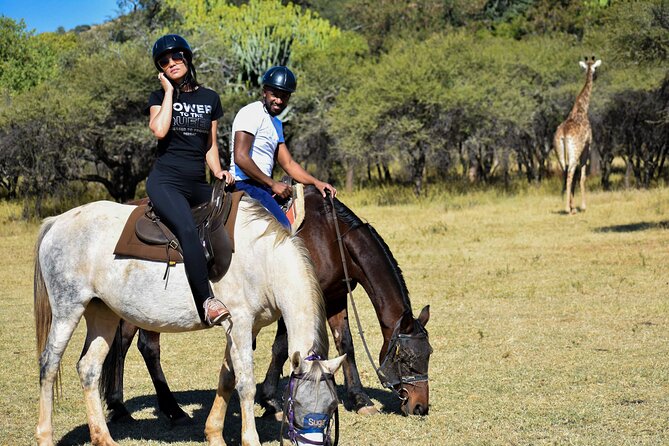 2-Hour Horseback Safari in Hartbeespoort - Why Silkaatsnek on horseback feels different