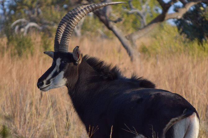 2-Hour Horseback Safari in Hartbeespoort - Where it starts in Hartbeespoort, and how to find it